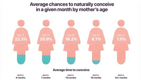 chances to get pregnant at age 42