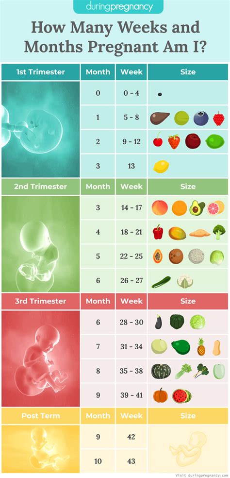 how likely am i to get pregnant calculator
