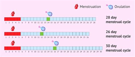 how long did it take you to get pregnant calculator