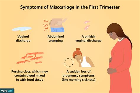 how long to fall pregnant after miscarriage