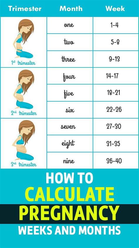 how long to get pregnant calculator