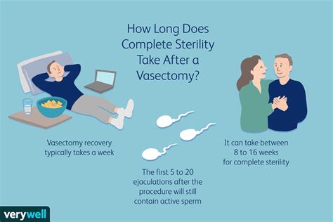 how long to wait after vasectomy to not get pregnant