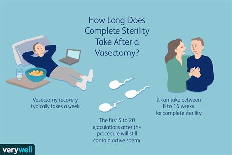 how many people get pregnant after a vasectomy