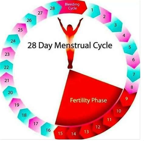 how to avoid getting pregnant menstrual cycle