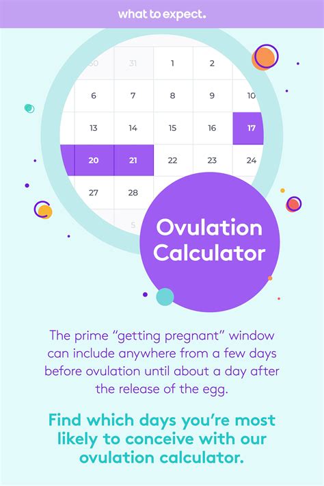 how to calculate fertility