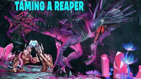 how to get impregnated by reaper queen in ark
