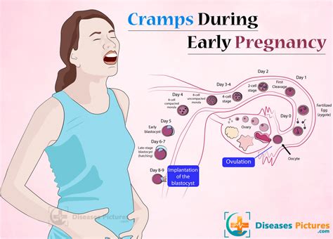how to get pregnant after period telugu