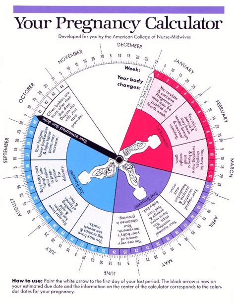 how to get pregnant calculator