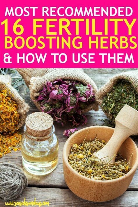 how to get pregnant fast with herbs