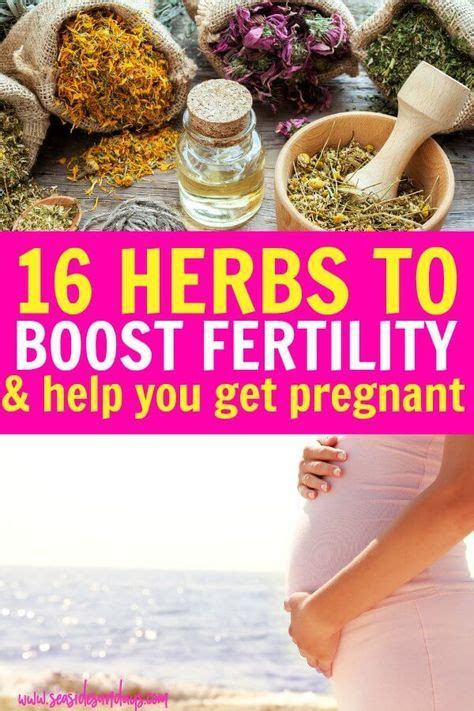 how to get pregnant using natural remedies