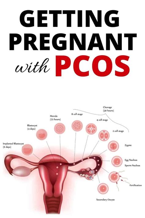 how to increase chances of getting pregnant with pcos naturally