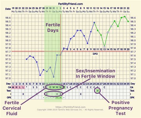 ovulation chart example pregnant