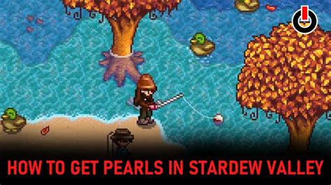 stardew valley how to get pearls