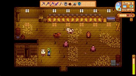 stardew valley how to know if pregnant